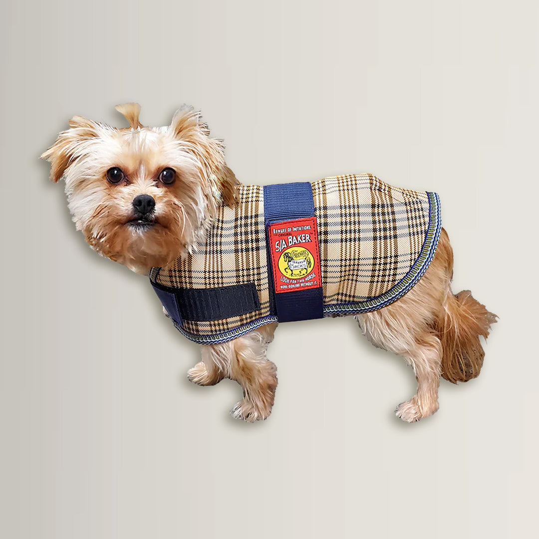 5/A Baker® Dog Blanket