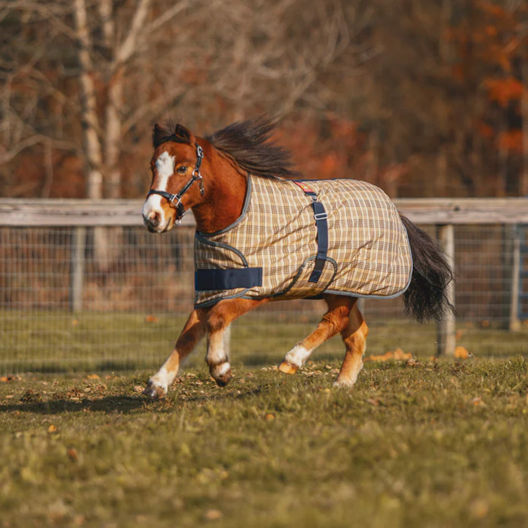 5/A Baker® Medium Weight Expand-O-Blanket Turnout for Foal & Pony