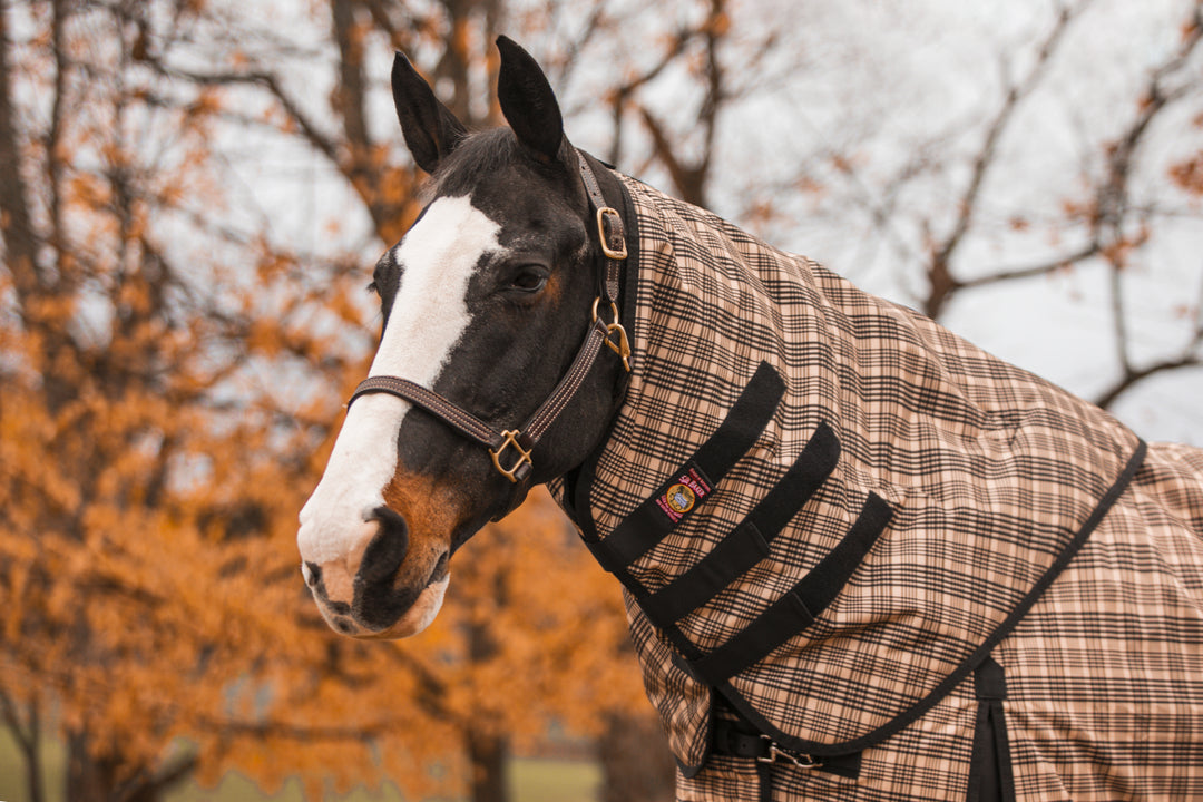 5/A Baker® Black Label Neck Cover