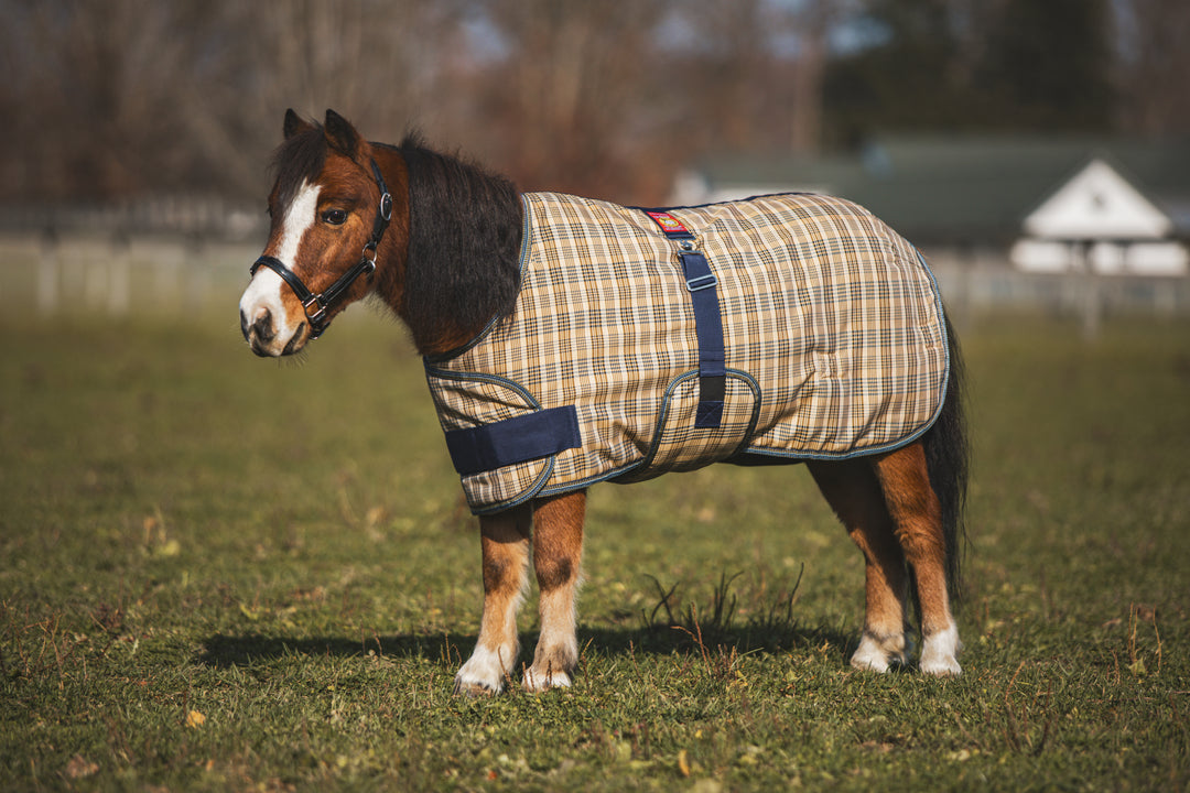 5/A Baker® Medium Weight Expand-O-Blanket Turnout for Foal & Pony