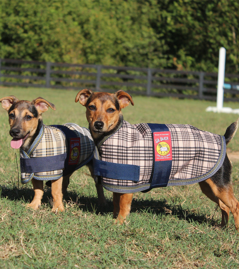 5/A Baker® Dog Blanket