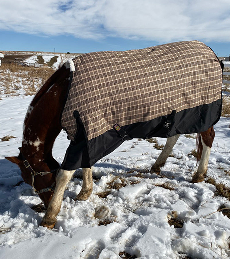 5/A Baker® Black Label Heavy Weight Turnout Blanket 400 Gram