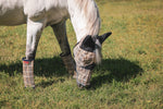 Load image into Gallery viewer, 5/A Baker® Fly Mask with Ears
