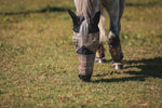 Load image into Gallery viewer, 5/A Baker® Fly Mask with Ears
